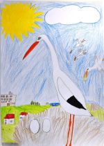 Sedláčková Zuzka.jpg